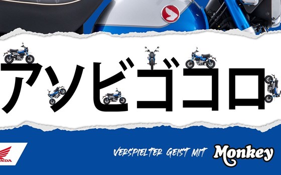 Honda Semmler - NEUE MONKEY 125 2022er Modell - Bild 2