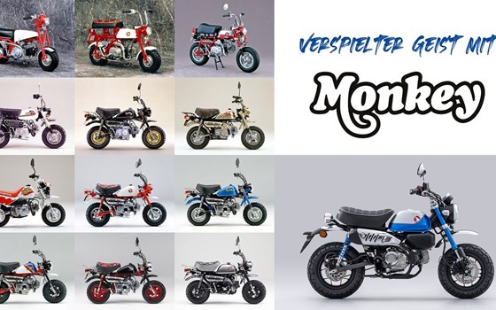 Honda Semmler - NEUE MONKEY 125 2022er Modell - Bild 3