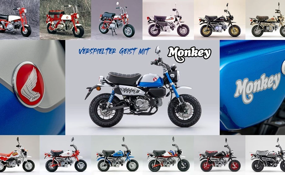 Honda Semmler - NEUE MONKEY 125 2022er Modell Bild 4: Honda Semmler - NEUE MONKEY 125 2022er Modell