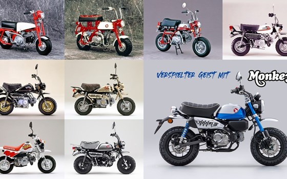 Honda Semmler - NEUE MONKEY 125 2022er Modell - Bild 5