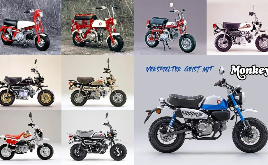 Honda Semmler - NEUE MONKEY 125 2022er Modell Bild 5: Honda Semmler - NEUE MONKEY 125 2022er Modell