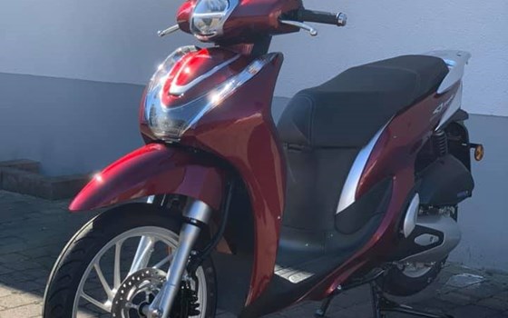 Erweiterung der Führerscheinklasse B für Zweiräder 125ccm/ 11kW ( 15PS)  - Bild 2