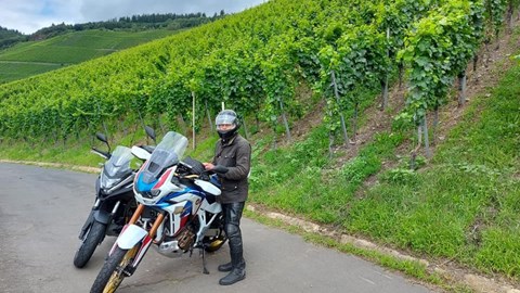 An der Mosel bei Traben Trarbach