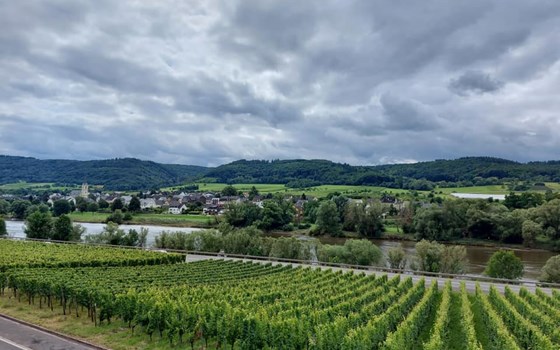 An der Mosel bei Traben Trarbach - Bild 4