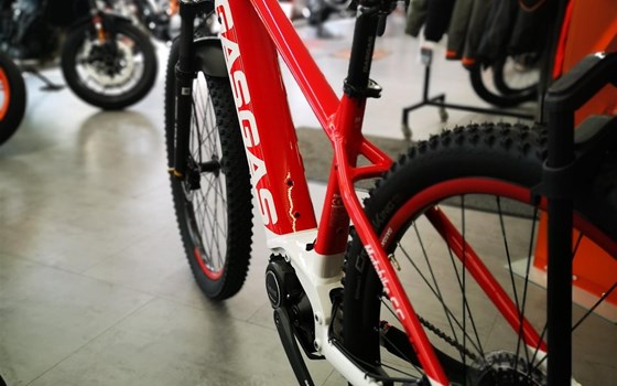 GASGAS E-BIKES !! - Bild 1