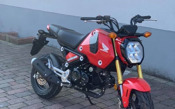 MSX125 Groom ABS verfügbar in ROT und SILBER - Bild 2