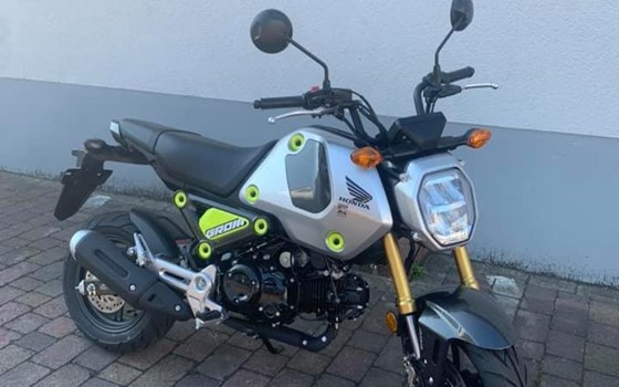 MSX125 Groom ABS verfügbar in ROT und SILBER - Bild 1