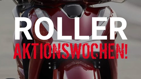 Newsletter September 2021/01