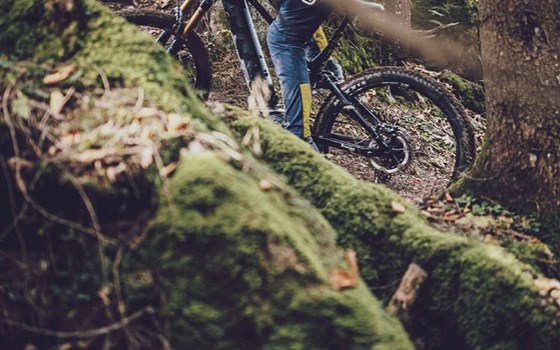 E-BICYCLES….. - Bild 2 E-BICYCLES….. - Bild 2