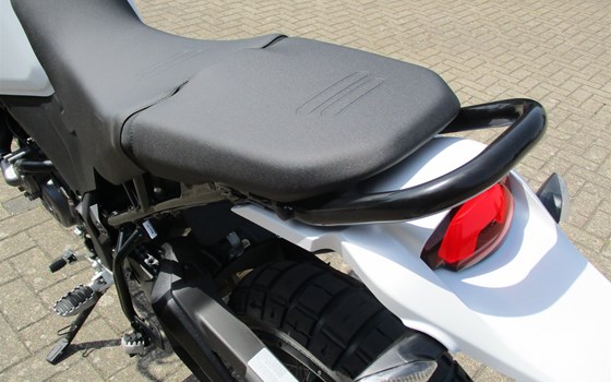 DUCATI Desert X - ab SOFORT BEI UNS & PROBEFAHREN !  - Bild 28