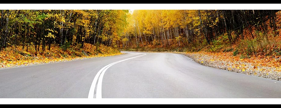 Der Herbst ist da! Bild 1: Der Herbst ist da!