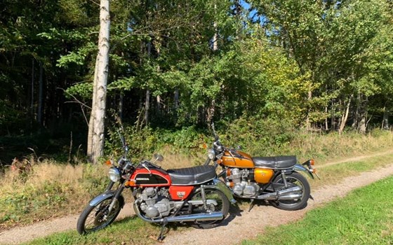 Die letzten Sonnenstrahlen genießen  - Bild 2