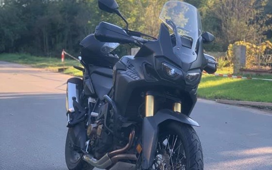 Die letzten Sonnenstrahlen genießen  - Bild 3