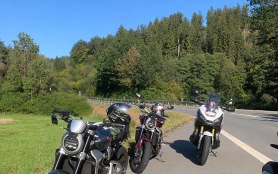 Die letzten Sonnenstrahlen genießen  - Bild 4