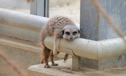 25.10.2021 geschlossen!