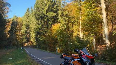 Herbsttour im Elmsteiner Tal  