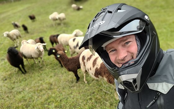 Einmal Balkan, Spanien und zurück, Tag 2 (Österreich) - Bild 2