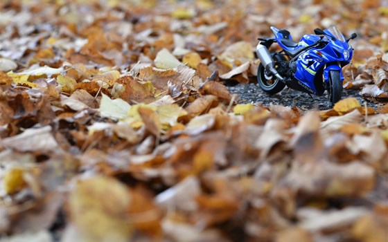 Überbrückung lockdownzeit - Bild 2 Überbrückung lockdownzeit - Bild 2