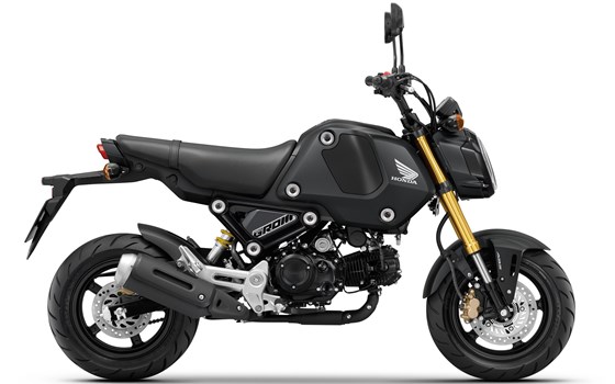 Honda Semmler - MSX125 neue Farbe für 2022 - Bild 1