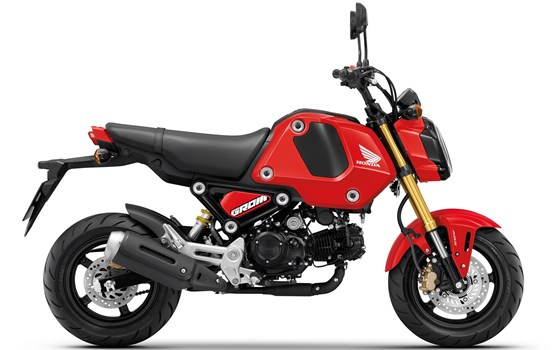 Honda Semmler - MSX125 neue Farbe für 2022 - Bild 2