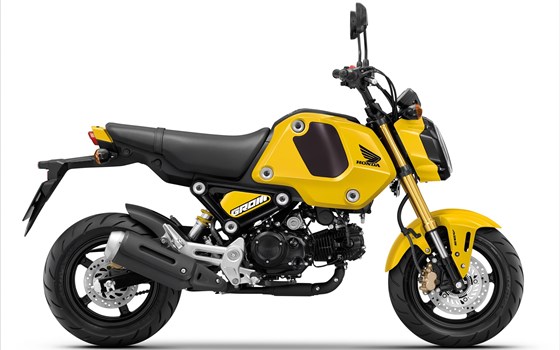 Honda Semmler - MSX125 neue Farbe für 2022 - Bild 3
