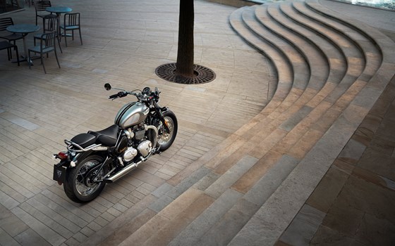 TRIUMPH GOLD LINE 2022 - SPEEDMASTER - Bild 4