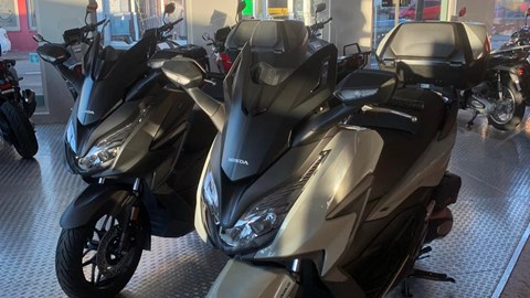 Neu eingetroffen und verfügbar  !!! Forza 125 !!!