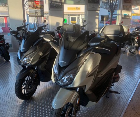 Neu eingetroffen und verfügbar  !!! Forza 125 !!!