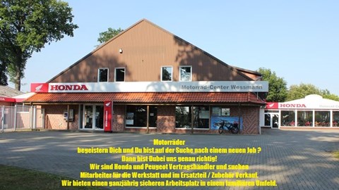 Wir suchen Dich!!