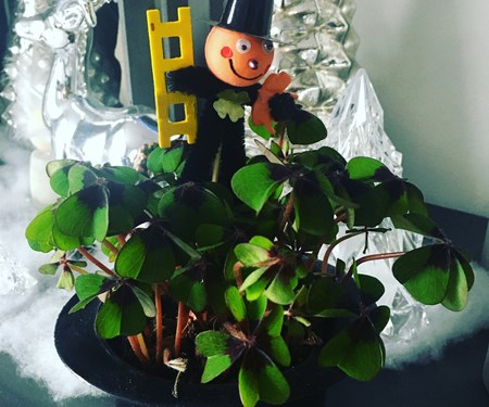 Danke und gutes neues Jahr