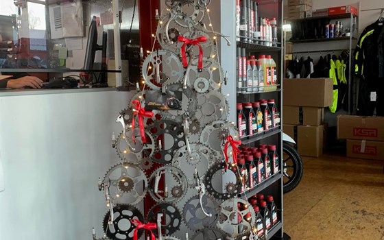 Advent, Advent unser Weihnachtsbaum steht  :-) - Bild 2