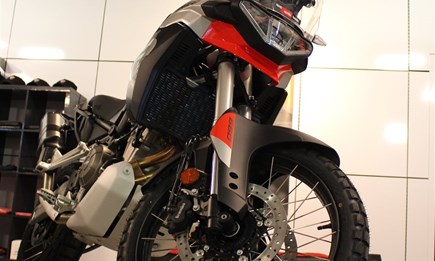 Ready for an Adventure?