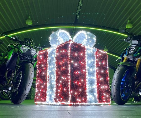 Frohe Weihnachten und guten Rutsch!