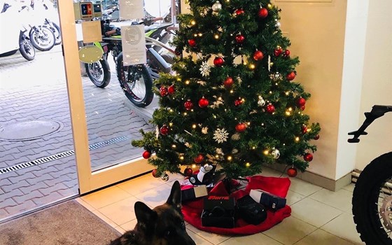 Das ATT-Team wünscht frohe Weihnachten & ATT Chrismas Day 300,-€ sparen bis 31.12.2021! - Bild 8