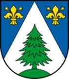 31. Internationale Neumarkter Wertungsfahrt Bild 2: 31. Internationale Neumarkter Wertungsfahrt