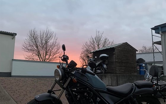 CMX500 Rebell Modell 2019 mit Sissybar/ Gepäckträger von Hepco&Becker - Bild 1