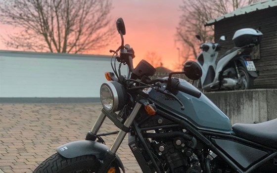 CMX500 Rebell Modell 2019 mit Sissybar/ Gepäckträger von Hepco&Becker - Bild 2