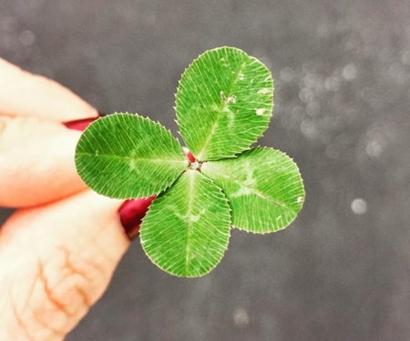 Unser Rundum-Service für dich! 