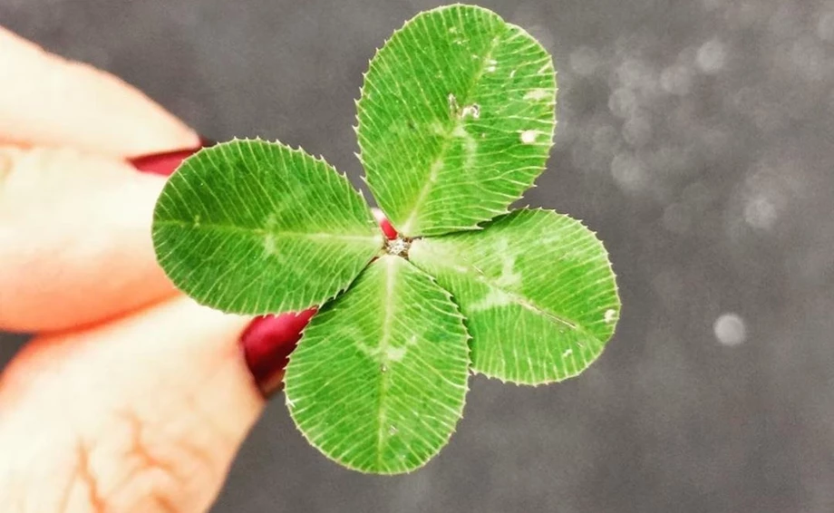 Unser Rundum-Service für dich!  Bild 1: Unser Rundum-Service für dich!