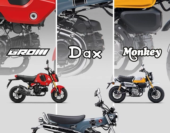 Honda Semmler - Dax 125 NEUHEIT 2023  Bild 15: Honda Semmler - Dax 125 NEUHEIT 2023