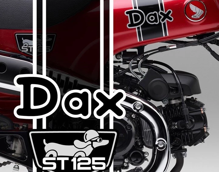 Honda Semmler - Dax 125 NEUHEIT 2023  Bild 16: Honda Semmler - Dax 125 NEUHEIT 2023