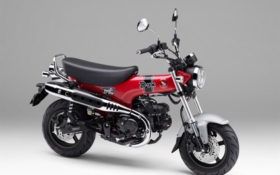 2023 Honda DAX ST125  - Bild 1