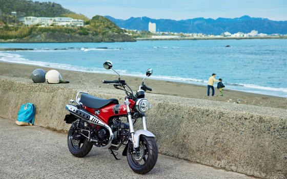 2023 Honda DAX ST125  - Bild 2