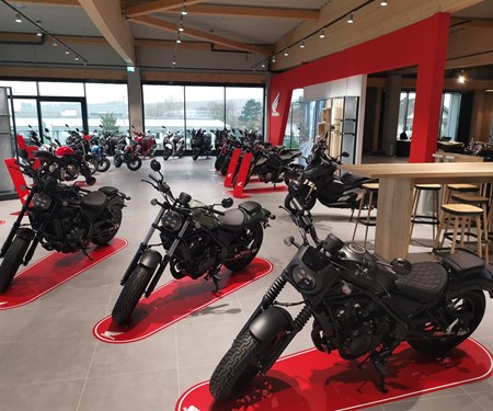 Unsere neue Ausstellungsfläche