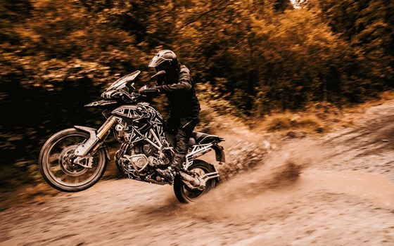 TRIUMPH Open Day! - Bild 3