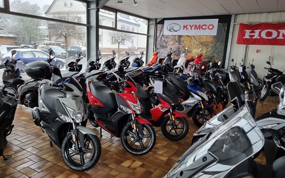 Roller sind umgezogen ! - Bild 3