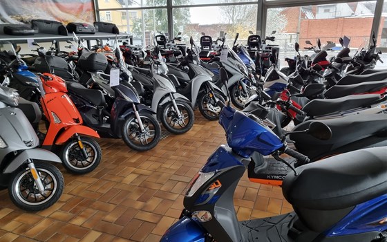 Roller sind umgezogen ! - Bild 5