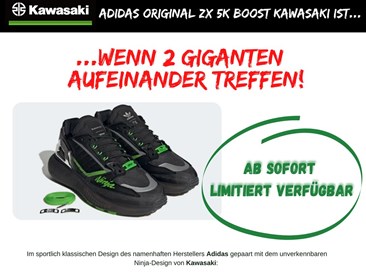 Adidas Original ZX 5K Boost Kawasaki ist... 