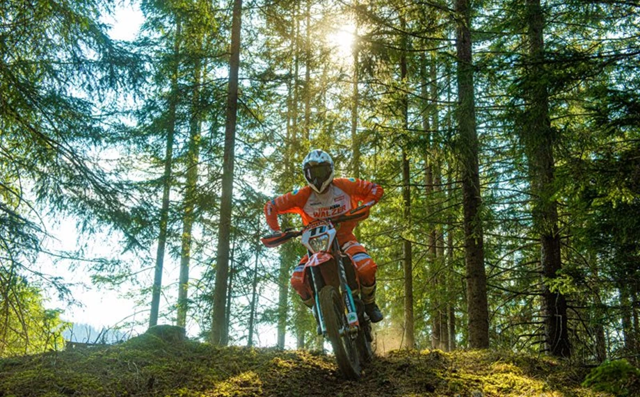 Doppelsieg für das Walzer Team in Althofen! Bild 11: Doppelsieg für das Walzer Team in Althofen!