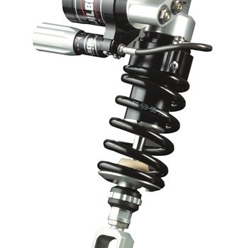 Welche Farbe darf es sein? - Bild 5 Welche Farbe darf es sein? - Bild 5